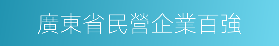 廣東省民營企業百強的同義詞