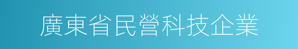 廣東省民營科技企業的同義詞