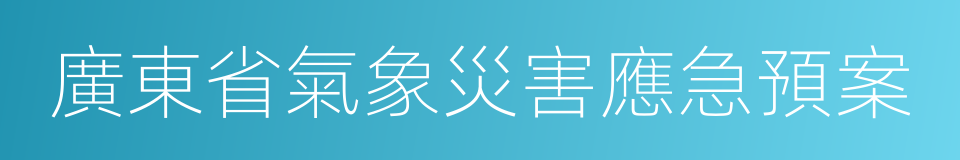 廣東省氣象災害應急預案的同義詞