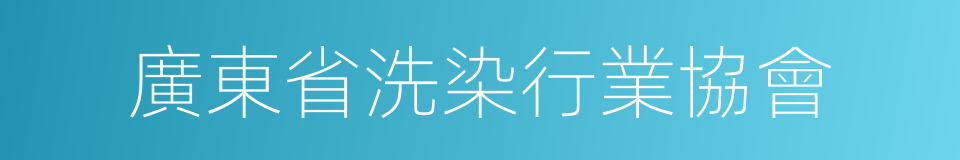 廣東省洗染行業協會的同義詞