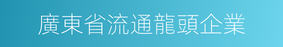 廣東省流通龍頭企業的同義詞