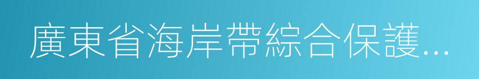 廣東省海岸帶綜合保護與利用總體規劃的同義詞