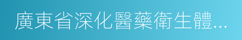 廣東省深化醫藥衛生體制綜合改革實施方案的同義詞