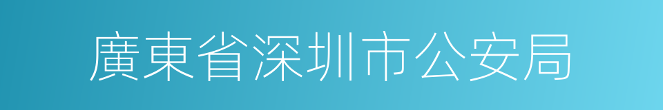 廣東省深圳市公安局的同義詞