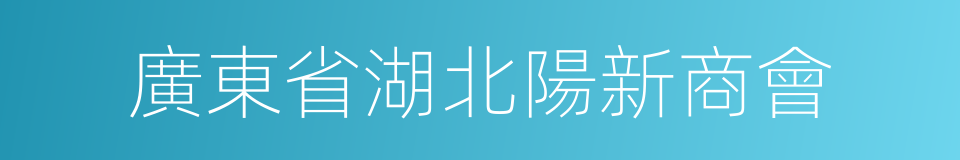 廣東省湖北陽新商會的同義詞