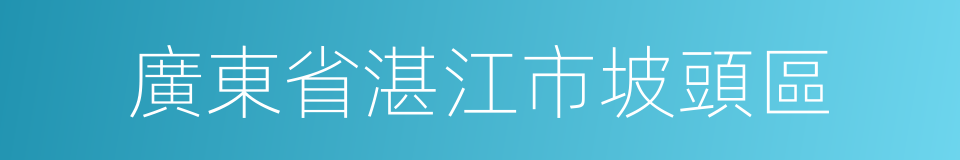 廣東省湛江市坡頭區的同義詞