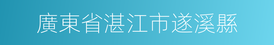 廣東省湛江市遂溪縣的同義詞