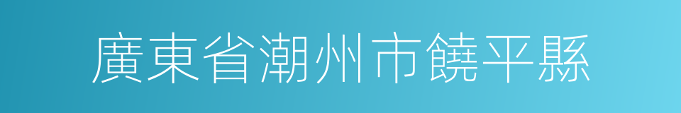 廣東省潮州市饒平縣的同義詞