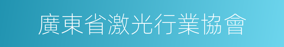 廣東省激光行業協會的同義詞