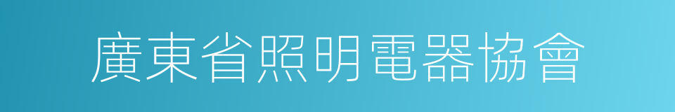 廣東省照明電器協會的同義詞