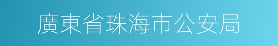 廣東省珠海市公安局的同義詞