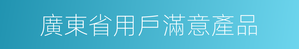 廣東省用戶滿意產品的同義詞