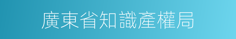 廣東省知識產權局的同義詞