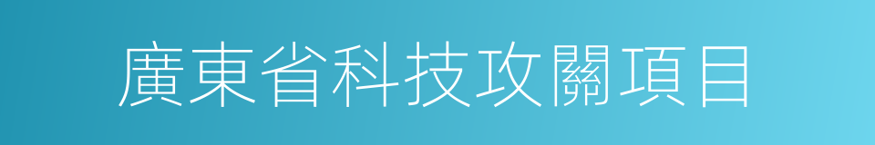 廣東省科技攻關項目的同義詞