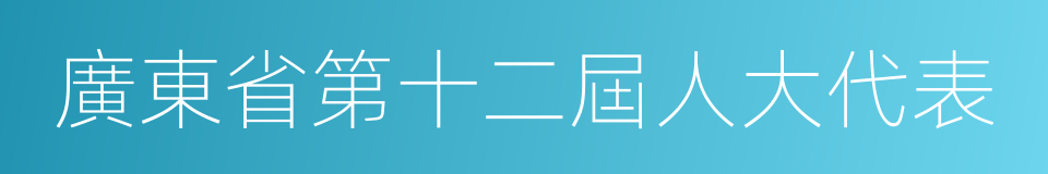 廣東省第十二屆人大代表的同義詞