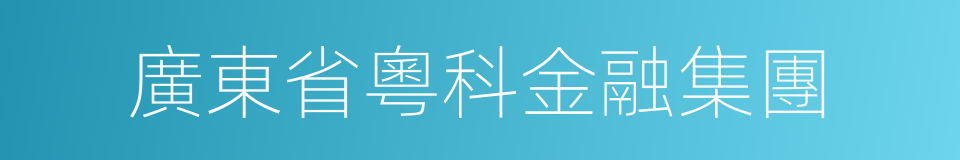 廣東省粵科金融集團的同義詞