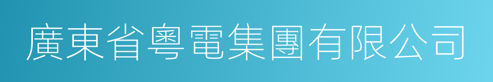 廣東省粵電集團有限公司的同義詞