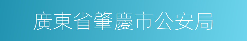 廣東省肇慶市公安局的同義詞