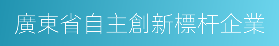 廣東省自主創新標杆企業的同義詞