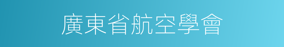 廣東省航空學會的同義詞