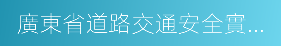 廣東省道路交通安全實施條例的同義詞