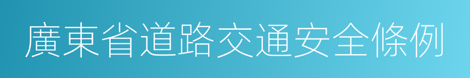 廣東省道路交通安全條例的同義詞