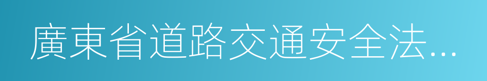 廣東省道路交通安全法實施條例的同義詞