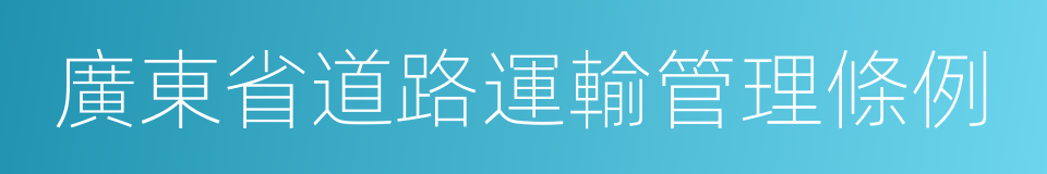 廣東省道路運輸管理條例的同義詞