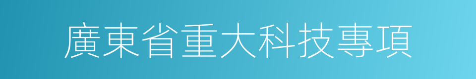 廣東省重大科技專項的同義詞