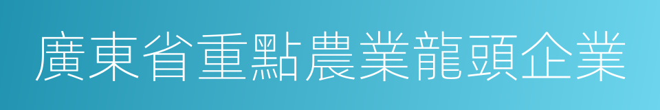 廣東省重點農業龍頭企業的同義詞