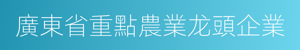 廣東省重點農業龙頭企業的同義詞