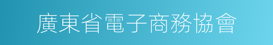 廣東省電子商務協會的同義詞