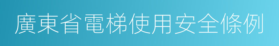 廣東省電梯使用安全條例的同義詞