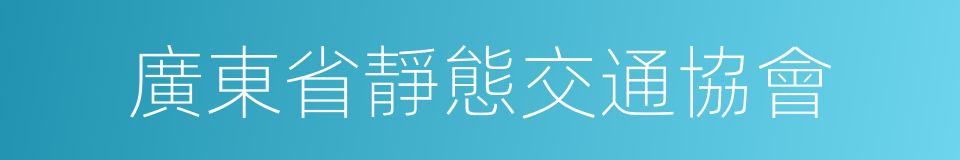 廣東省靜態交通協會的意思