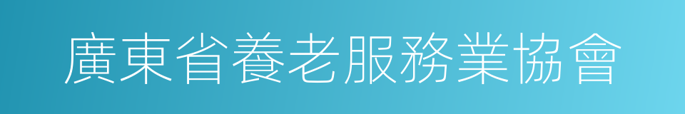 廣東省養老服務業協會的同義詞