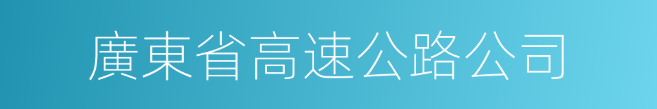 廣東省高速公路公司的同義詞