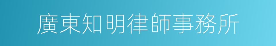 廣東知明律師事務所的同義詞