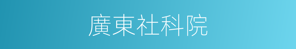 廣東社科院的同義詞