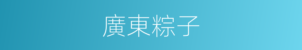 廣東粽子的同義詞