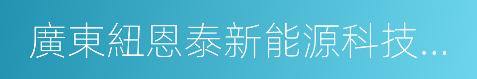 廣東紐恩泰新能源科技發展有限公司的同義詞