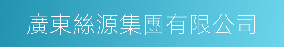 廣東絲源集團有限公司的同義詞