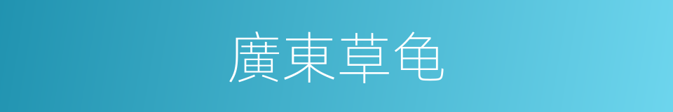 廣東草龟的同義詞