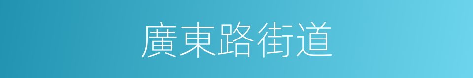 廣東路街道的同義詞