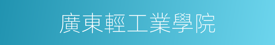 廣東輕工業學院的同義詞