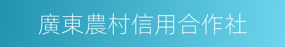 廣東農村信用合作社的同義詞