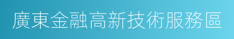 廣東金融高新技術服務區的同義詞