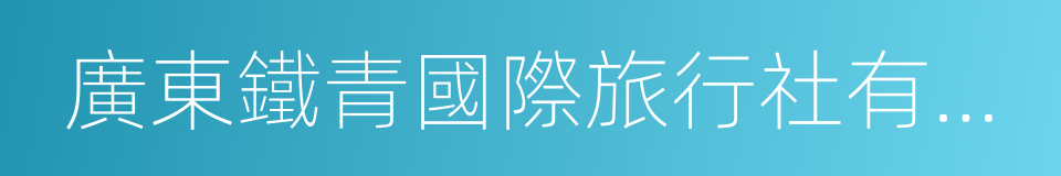 廣東鐵青國際旅行社有限責任公司的同義詞