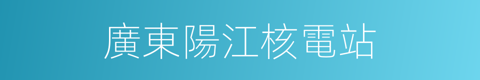 廣東陽江核電站的同義詞