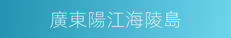 廣東陽江海陵島的同義詞