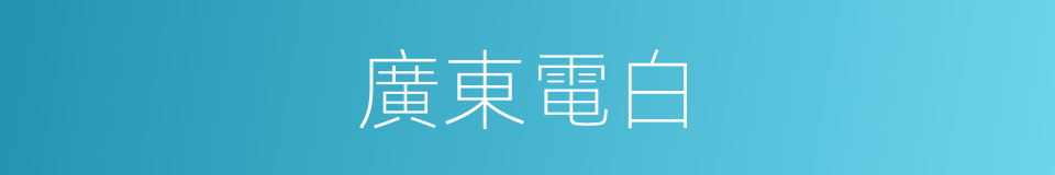 廣東電白的同義詞